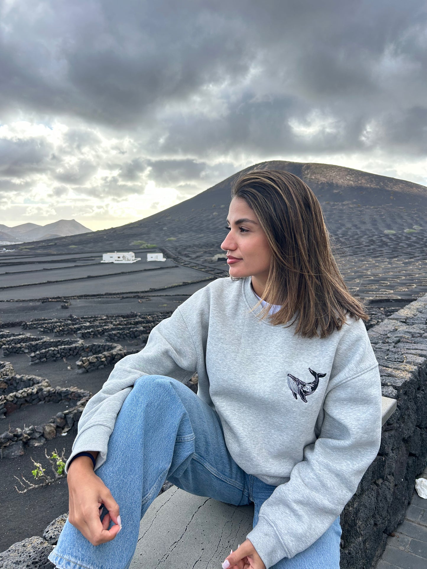 Sudadera “Whale On Board” – Gris Atlántico